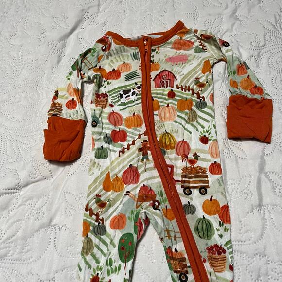 Little Sleepies Happy Harvest Zippy PJs Size NB - Picture 3 of 5